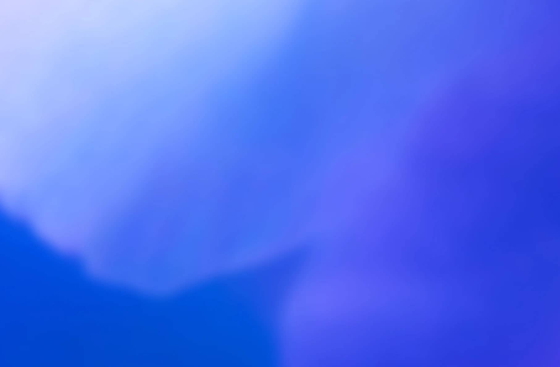 Introducing Point11 Analytics.